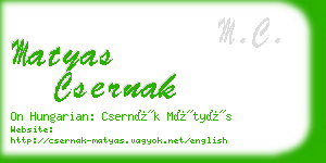 matyas csernak business card